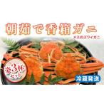 ふるさと納税 【先行予約】【冷蔵発送】朝茹で香箱ガニ メスのズワイガニ 姿3杯セット 2025年11月上旬以降発送 朝茹で カニ かに 蟹 姿 香箱蟹 .. 石川県加賀市