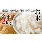 天然由来のものだけで育てたお米 2kg