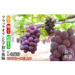 ブラックオリンピア狩り体験 食べ放題 1名様分