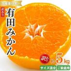 有田みかん 大玉5kg 2L~3L