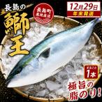 テレビで紹介ぶりの王様 特産 鰤王ラウンド約3.5kg_jfa-7115