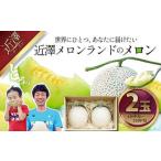 メロン 2玉入り