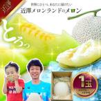 ふるさと納税 先行予約 メロン 1玉入(約1.4kg〜1.8kg)青肉 2026年春発送 期間限定 メロン めろん マスクメロン 舐瓜 果物 くだもの フルーツ .. 高知県土佐市