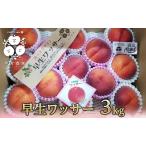 ふるさと納税 桃 先行予約 早生 ワッサー 3kg 硬い桃 フルーツ 果物 旬の果物 旬のフルーツ 2026 旬 長野県長野市