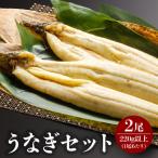 うなぎ 白焼き