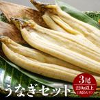 うなぎ 白焼き