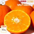 有田育ちのセミノールオレンジ ご 約10kg