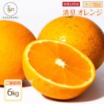 森本農園の手選別 清見オレンジ 6kg