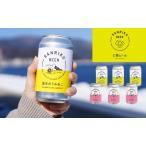 クラフトビール 350ml×6本