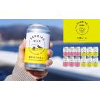 クラフトビール 350ml×12本