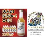 ガガニコジンジャーエール 12本セット 250ml×12本