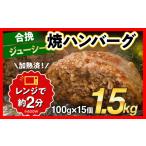 ふるさと納税 ハンバーグ 合挽焼 100g×15個 計1.5kg ハンバーグ【賞味期限：2026年7月10日まで】 福岡県田川市