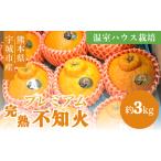 特別栽培のむちゃん農園 不知火 秀品 約3kg
