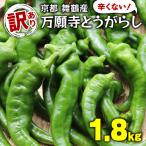 訳あり 万願寺とうがらし 1.8kg