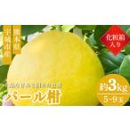 パール柑 化粧箱入り 3kg