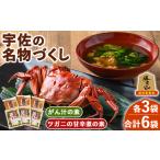ふるさと納税 宇佐の名物づくし(合計6袋・2種)モクズガニ ツガニ かに 蟹 カニ汁 がん汁 甘辛煮 惣菜 勝負めし【102200301】【観光館 文福】 大分県宇佐市