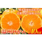 みかん 温州みかん 約 10kg