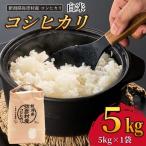 令和8年産新米 コシヒカリ 精米 5kg