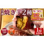 ふるさと納税 n256 <期間限定!干し芋100gをセットでお届け!>「鹿児島県産紅はるかの冷凍焼き芋」と「種子島産安納芋の冷凍焼き芋」食べ.. 鹿児島県中種子町