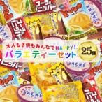 フタバ食品 アイス25個 楽しさ バラエティーセット