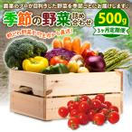 定期便 季節 野菜 詰め合わせ 500g