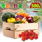 定期便 季節 野菜 詰め合わせ 500g
