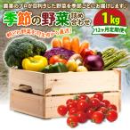 定期便 季節 野菜 詰め合わせ 1kg