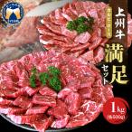 上州牛 カルビ ロース 満足 セット 約1.0kg