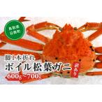 ふるさと納税 【先行予約】訳あり足1本折れボイル松葉ガニ(600g〜700gを1枚)OM-31 わけあり 松葉ガニ 松葉がに かに 蟹 カニ 鳥取県境港 御来.. 鳥取県日南町