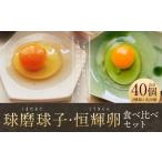 球磨球子 恒輝卵 各20個