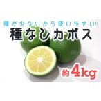 種が少ないから使いやすい 佐々木さんの