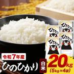 米 令和7年産 白米 森のくまさん 20kg