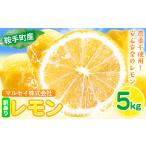 レモン 訳あり 5kg