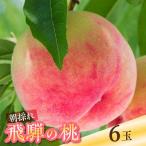 朝採れ 飛騨の桃 6玉