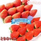 とちおとめ とちあいか 冷凍いちご 1kg