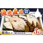 漁港直送 季節のおまかせ鮮魚 3kg