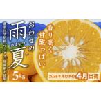 ふるさと納税 【先行予約 ４月出荷】  おわせの雨夏（あまなつ）  5kg　無農薬 ワックス・防腐剤不使用 木成り 完熟 甘夏  ギフト 贈答 日用 で.. 三重県尾鷲市