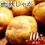 令和8年産 秋じゃが 10kg