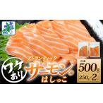 ふるさと納税 サーモン はしっこ 500g 訳あり 250g×2【アトランティックサーモン 北国からの贈り物 世界No.1サーモンメーカー 刺身 海鮮.. 大阪府泉佐野市