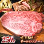 サーロイン ステーキ 250g×1枚