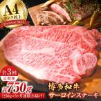 サーロインステーキ250g×1枚