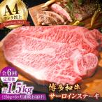 サーロインステーキ250g×1枚