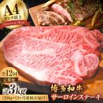 サーロインステーキ250g×1枚