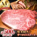 サーロイン ステーキセット 500g