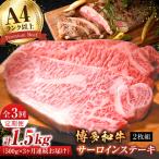 サーロインステーキセット 500g