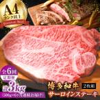 サーロインステーキセット 500g