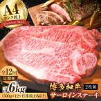 サーロインステーキセット 500g
