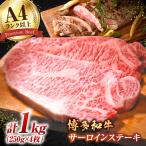 サーロイン 1kg