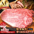 サーロイン 1kg