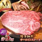 サーロイン ステーキ セット 5kg